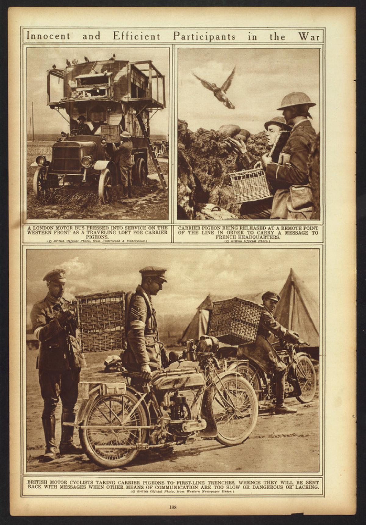 The War of the Nations
